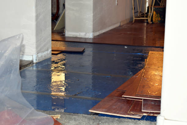 Professional Basement Flood Cleanup technician working in Springdale, MD
